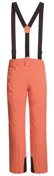 Брюки горнолыжные Icepeak 657038839IV 455 в Красноярске
