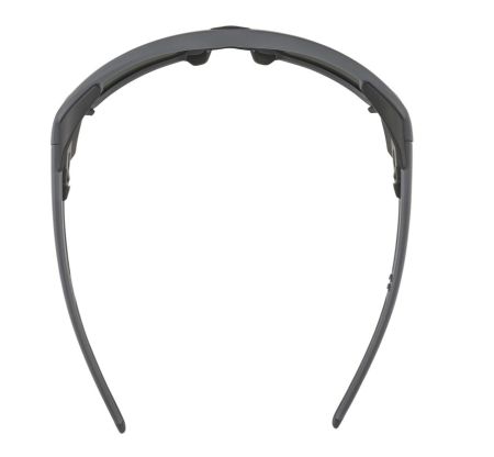 Купить Очки Alpina Skywalsh Q Midnight-Grey Matt/Blue Mirror Cat.4 Fogstop в Красноярске