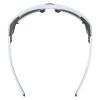 Купить Очки Alpina Skywalsh Q Smoke-Grey Matt/Green Mirror Cat.4 Fogstop в Красноярске