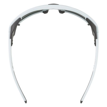 Купить Очки Alpina Skywalsh Q Smoke-Grey Matt/Green Mirror Cat.4 Fogstop в Красноярске