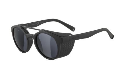 Купить Очки Alpina Glace All Black Matt/Side Part Black Matt/Black Cat.3 в Красноярске
