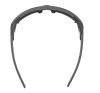 Купить Очки Alpina Skywalsh Q Midnight-Grey Matt/Blue Mirror Cat.4 Fogstop в Красноярске