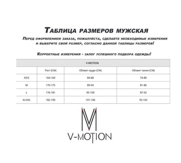Термобельё V-MOTION Base мужской серебристый в Красноярске