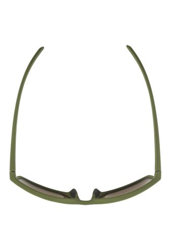 Купить Очки Alpina Nacan I Olive Matt/Bronce Mirror Cat.3 в Красноярске