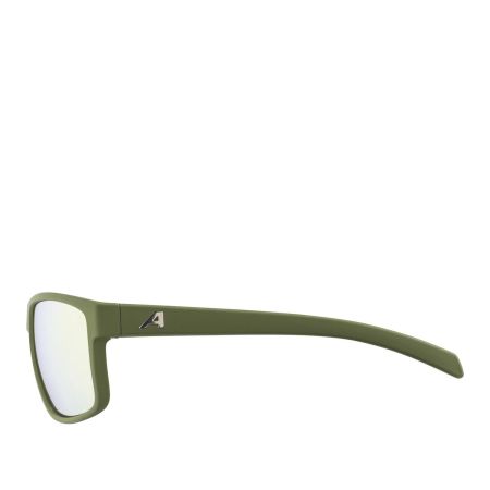 Купить Очки Alpina Nacan I Olive Matt/Bronce Mirror Cat.3 в Красноярске