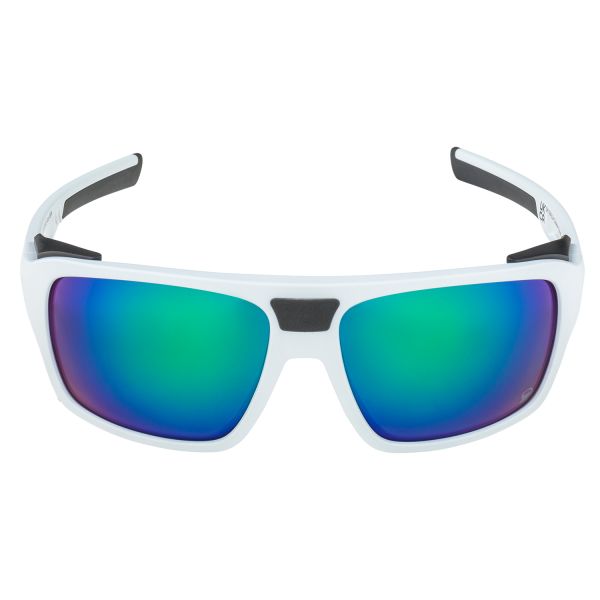 Купить очки alpina skywalsh q smoke-grey matt/green mirror cat.4 fogstop в Красноярске