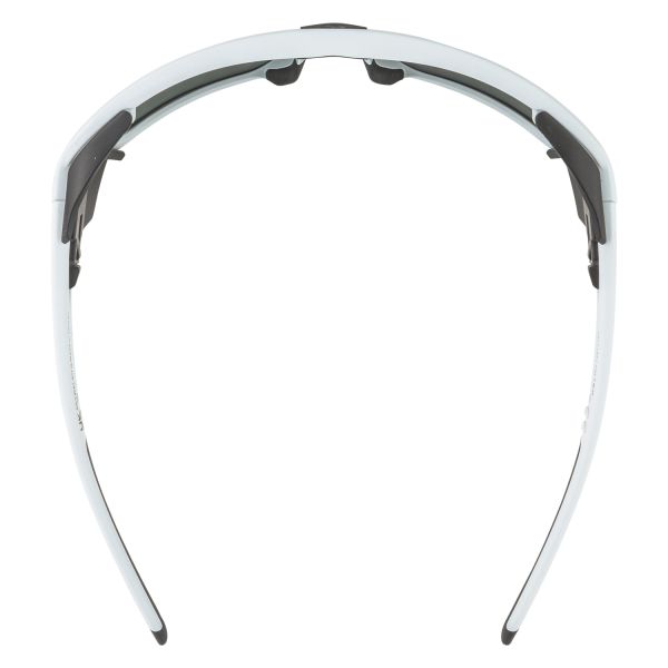 Купить очки alpina skywalsh q smoke-grey matt/green mirror cat.4 fogstop в Красноярске