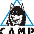 Кошки CAMP в Красноярске