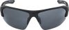 Купить Очки Alpina Lyron Hr Black Matt/Black Mirror Cat.3 в Красноярске